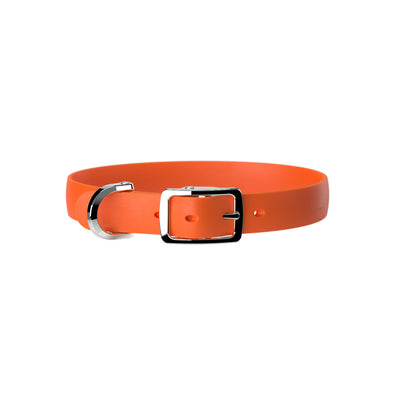 Orange dog collar
