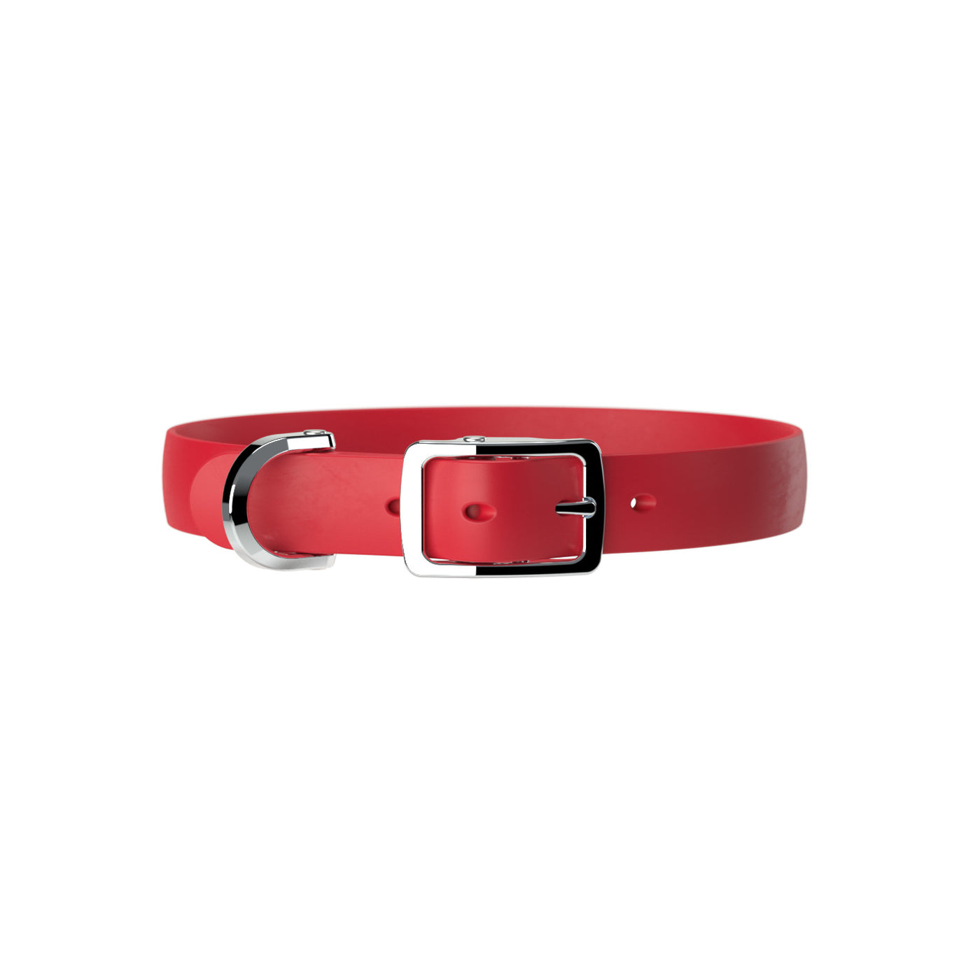 Red dog collar with chrome d-ring