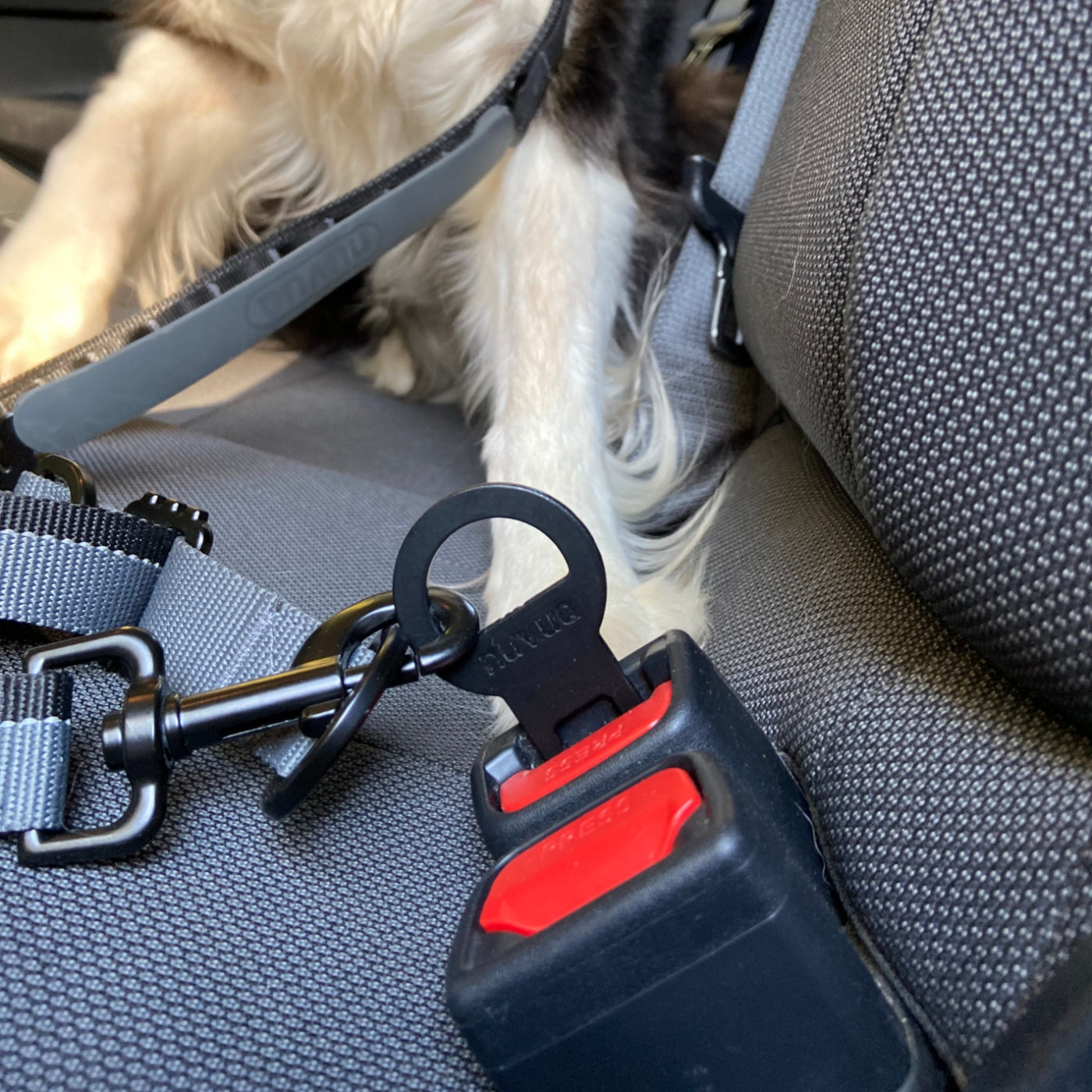 Nuvuq Seatbelt adaptor for Nuvuq multifunction leash in black metal