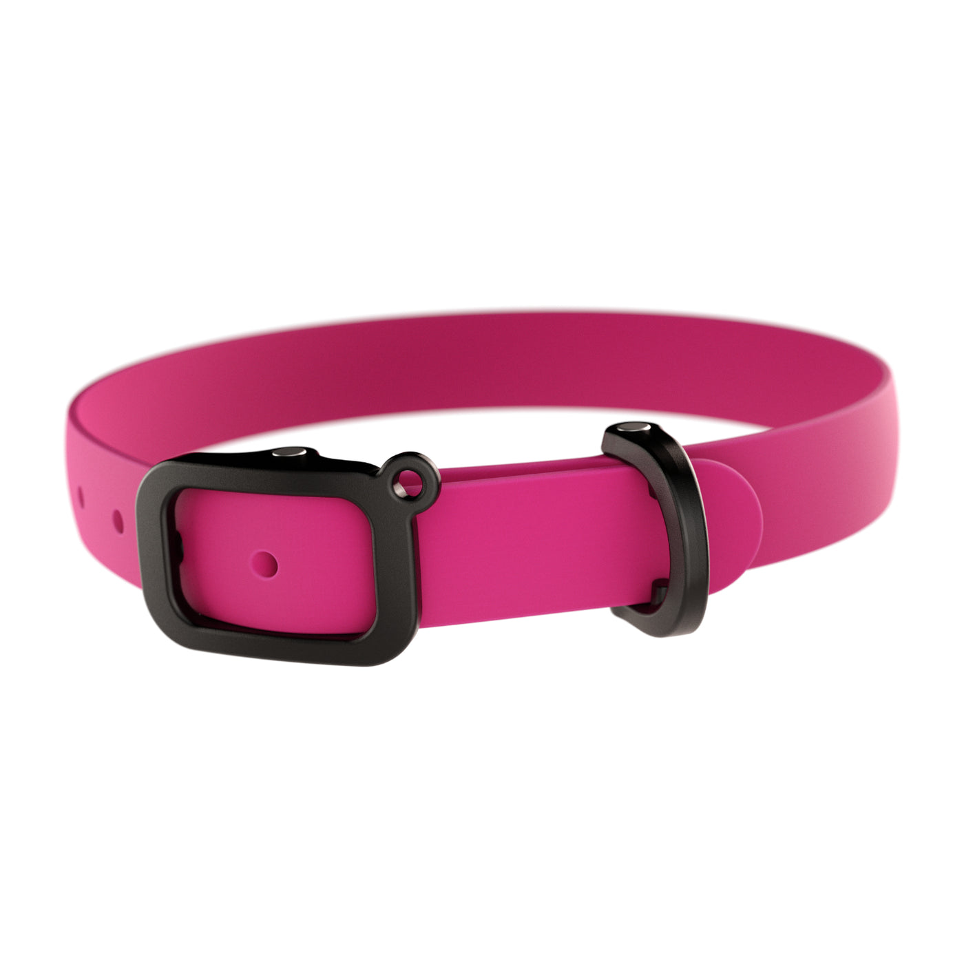 Dog Collars