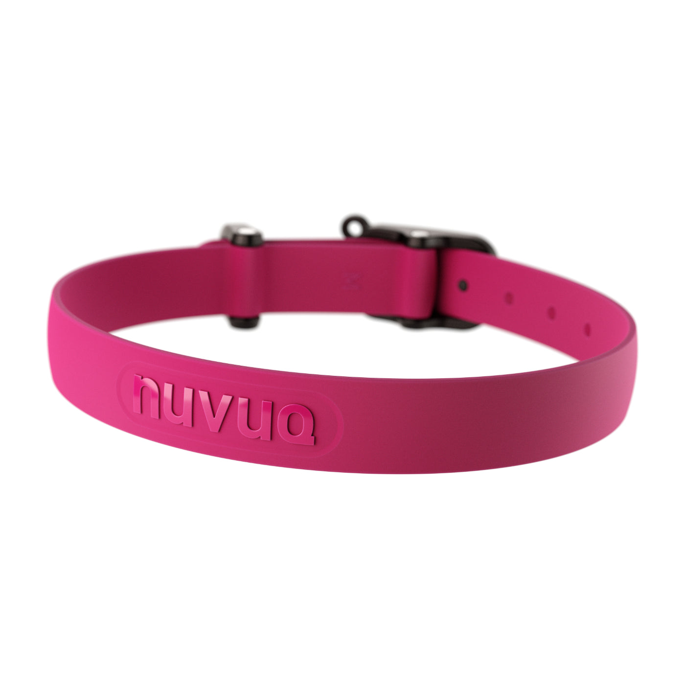 Dog pink collar hotsell