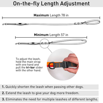 On the fly length adjustment leash for dog in orange