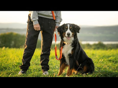 Hands Free Dog Leash - Waist or Shoulder Leash for Walking with Medium and Large Dogs, Adjustable 4 to 6 FT, Bungee Lead with Traffic Handle