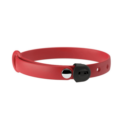 Animation of toy dog red collar with locking mechanism