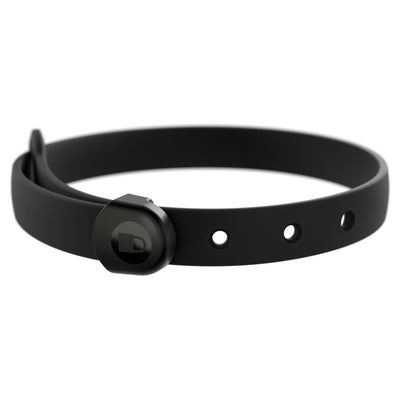 Black collar for mini dog