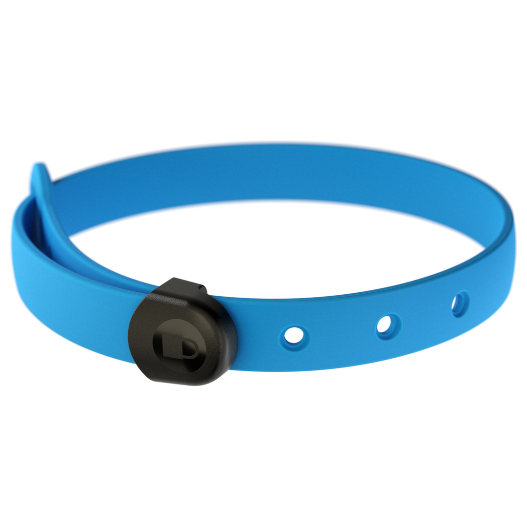 Baby blue dog collar hotsell