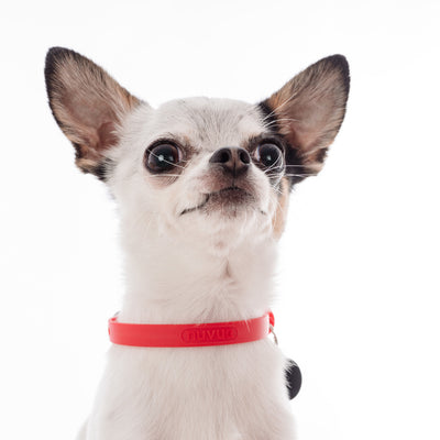 NUVUQ Mini - Lightweight Dog Collar - Tomato Red