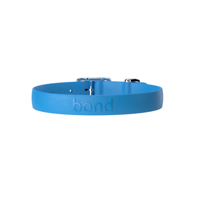 Blue waterproof dog collar