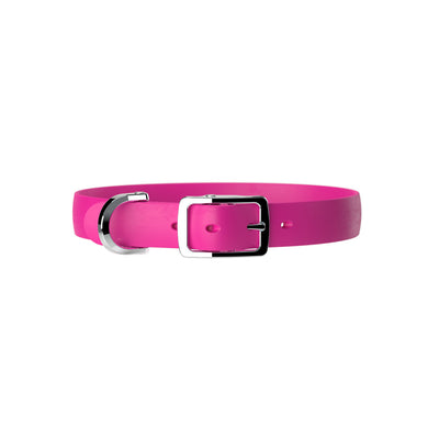 Hot pink dog collar