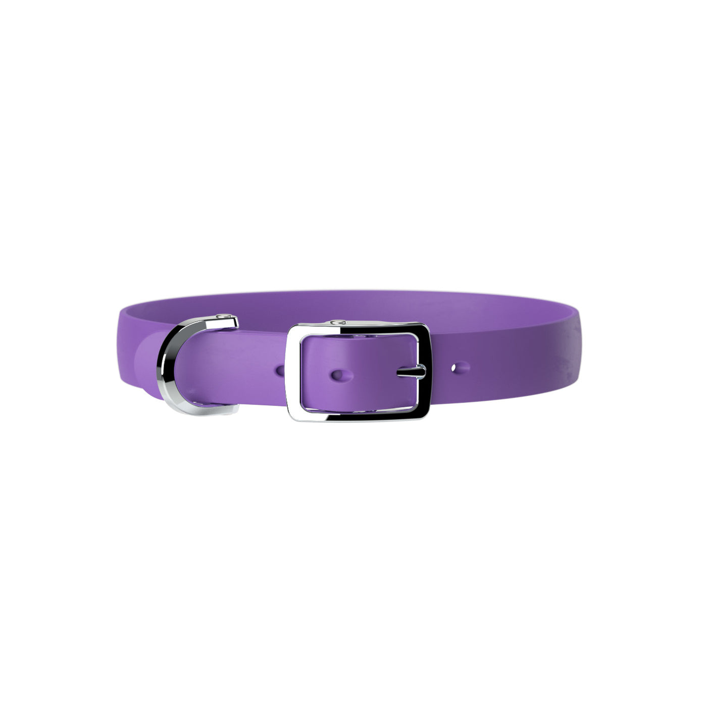 Purple waterproof dog collar with chrome buckle